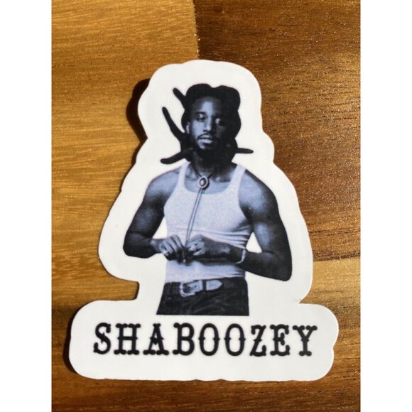 Shaboozey Inspired Sticker Set Lot Of 6 Perfect For Water Bottles Whiskey - Picture 5 of 10